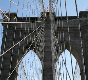 Kompliziertes Geplecht