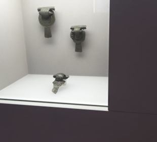 Museum für Vor- und Frühgeschichte