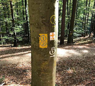 Wandern Seeheim-Jugenheim