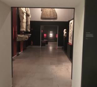 Rheinisches Landesmuseum