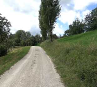 Hochgehnießen - Premiumspazierwanderweg