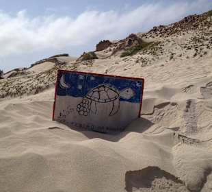 Strand beim Schiffswrack