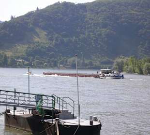 Von der Altstadt an den Rhein