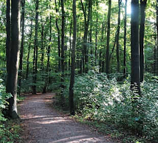 Rundweg durch den Altonaer Volkspark