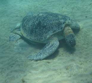 Ausflug nach Abu Daba