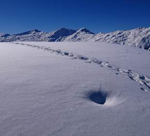 Einsame Schneeschuh-Tour