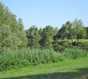 Tour durch den sommerlichen Park Links der Weser