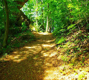 Wanderung zum Bärenfels