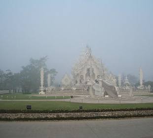 Wat Rong Khun im Morgennebel