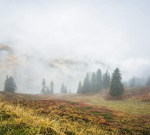 Wandern St. Gallenkirch