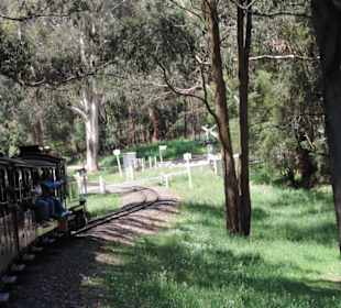 Mit der Puffing Billy Dampfbahn unterwegs