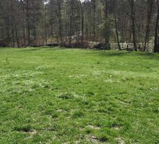 Sport- und Freizeitpark Markwasen