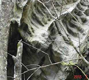 Tsitsikamma National Park