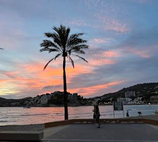 Strand Paguera/Peguera