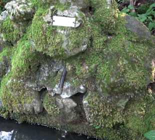 Sternberg Brünnele