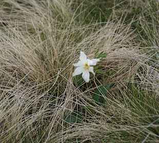 Karkonoski Park Narodowy