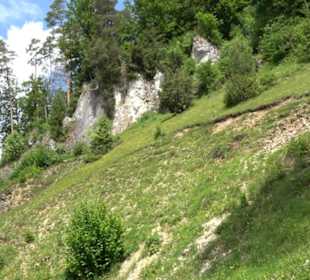 Tiefental Aichstetten