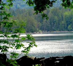 Blick auf den See