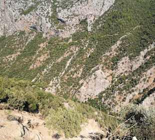 Der Blick in die Landschaft 