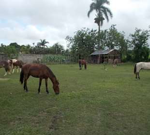 Rancho El Contento