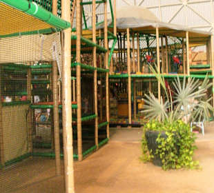 Der Kletterbereich für Kinder