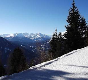 6km-Rodelbahn im Wald am Hochzeiger