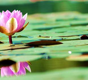 Bad Oeynhausen- Aqua Magica Park