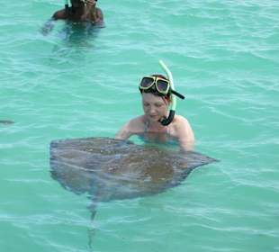 Schwimmen mit Stachelrochen
