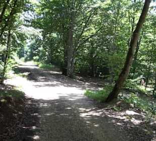 Naturerlebnispfad Sternberg