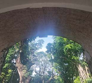 Fort Canning Park