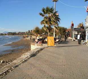 Vorm Dogan Market