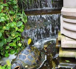 Golden Mount und Wat Saket