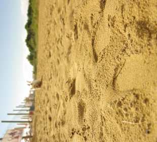 Freier Strandbereich ohne Hund