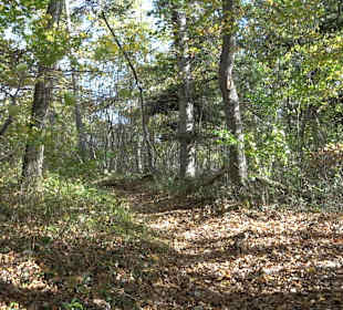 Wandertour "Rund um den Rossberg" Öschingen