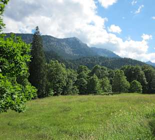 Blick vom Schloßpark