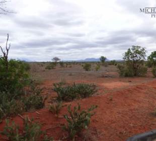 Die ersten Meter nach dem Tor