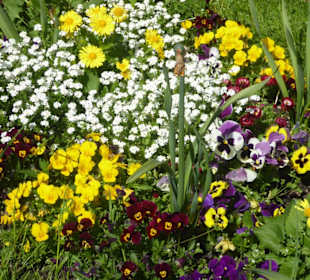 Hofgarten am Dachauer Schloss