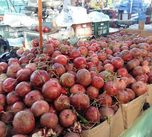 Stadtrundfahrt Markt