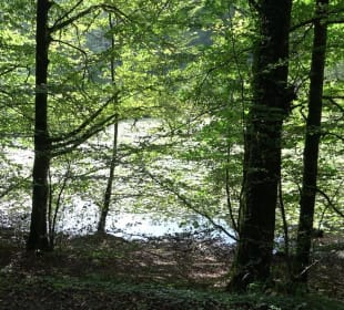 Schaichtalweg - Schlüsselsee