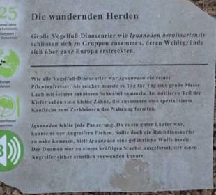 Dinosaurier Museum Altmühltal