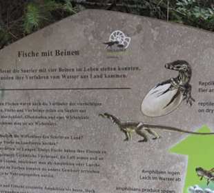 Dinosaurier Museum Altmühltal