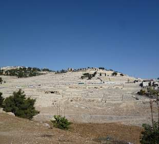 Cmentarz na Górze Oliwnej