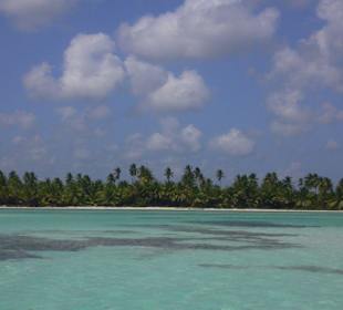 Isla Saona Schnorchelausflug