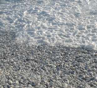 Марина де Пиза