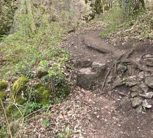 Wanderung rund um das Rusenschloss Gerhausen