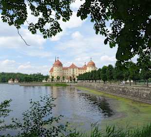 Schloss Moritzburg