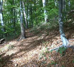 Premiumwanderweg hochgehkeltert