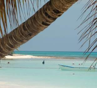 Karibiktraum auf Saona