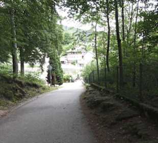 Restaurant & Café Bergseestüble