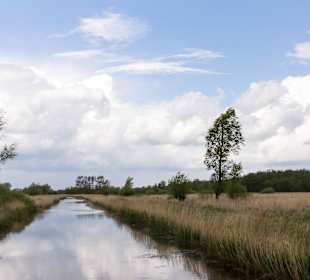 Naturschutzgebiet Oldenburger Graben